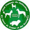 CCCE: Club du Coton, du Chihuahua et des Exotiques